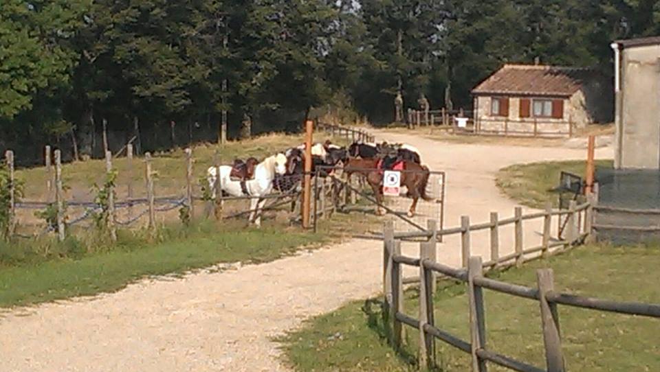 passeggiata a cavallo