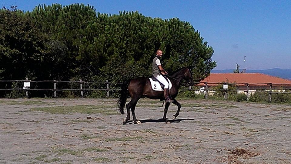 corsi di equitazione Centro Equestre San Giorgio
