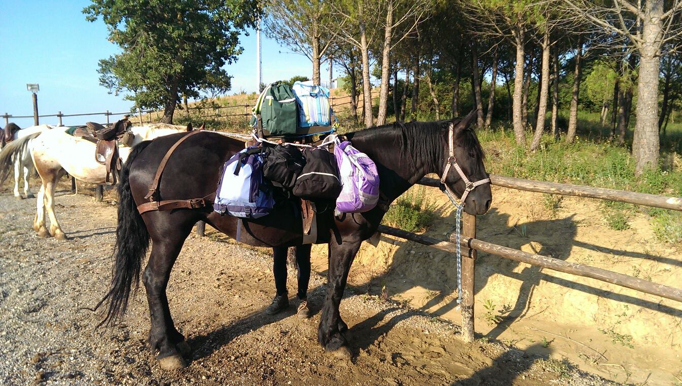 trekking a cavallo in toscana