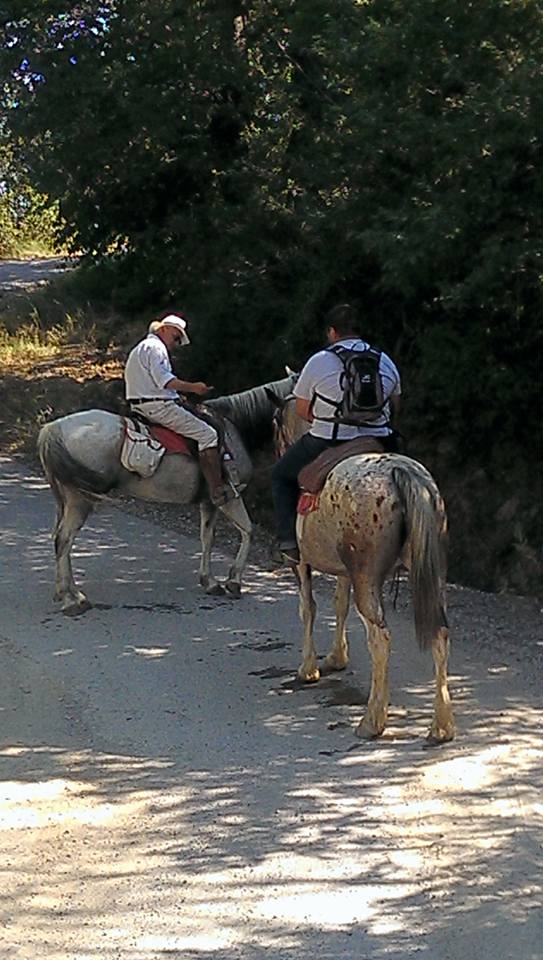escursione centro equestre san giorgio