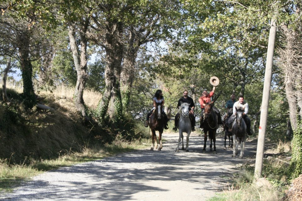 escursioni a cavallo in provincia di Grosseto