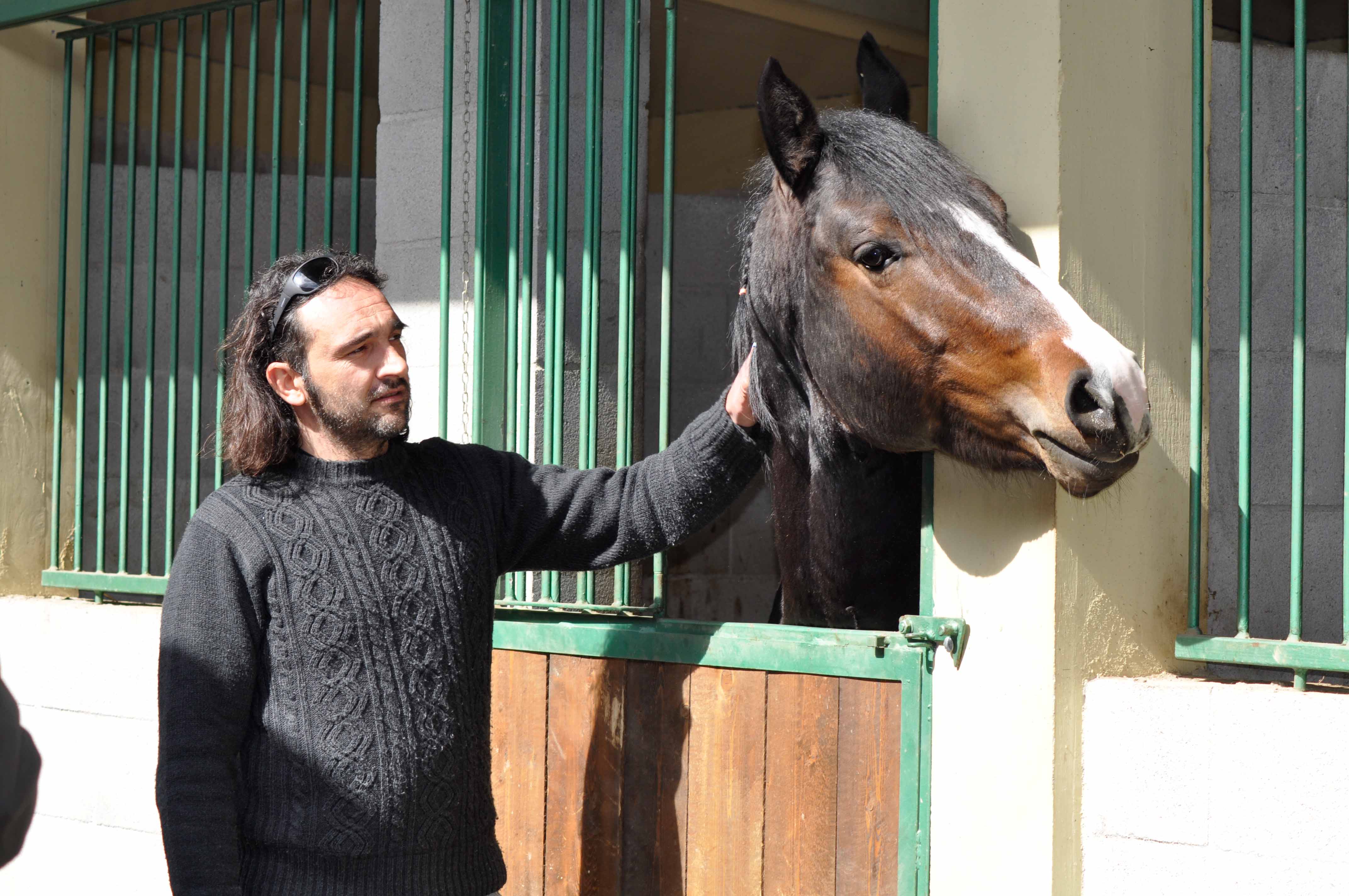 pensione cavalli Cinigiano Grosseto