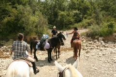 escursione a cavallo maremma