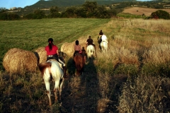 Gita a cavallo in maremma