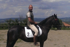 foto di cavallo in maremma