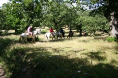 passeggiata centro equestre san giorgio