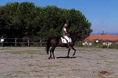 corsi di equitazione Centro Equestre San Giorgio