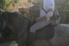 passeggiata a cavallo centro equestre san giorgio cinigiano