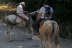 escursione centro equestre san giorgio