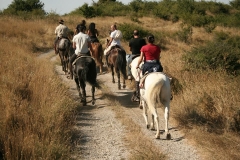 passeggiata a cavallo in toscana