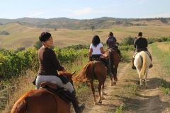 equitazione in maremma