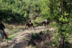 escursione a cavallo