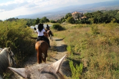 percorsi in natura a cavallo