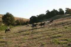 trekking a cavallo in Maremma