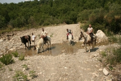 momenti di passeggiata a cavallo