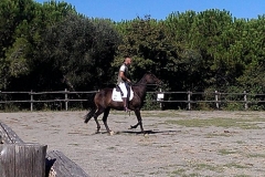 esibizioni Centro Equestre San Giorgio Cinigiano (GR)