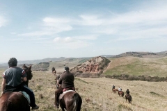 centro equestre maneggio cinigiano