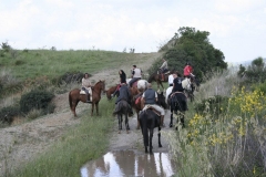 trekking a cavallo in Toscana