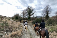 passeggiata cavallo