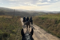 centro equestre provincia Grosseto