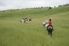 Trekking a cavallo in Maremma