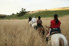 andare a cavallo in Maremma