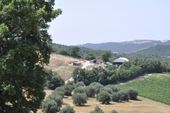 scuderia Centro Equestre San Giorgio Cinigiano (GR)