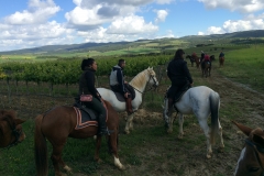 passeggiata a cavallo in maremma