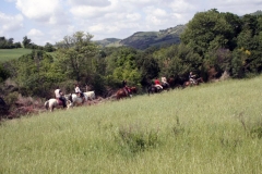 centro equestre san giorgio cingiano