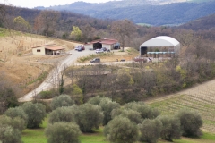 centro-equestre-cinigiano