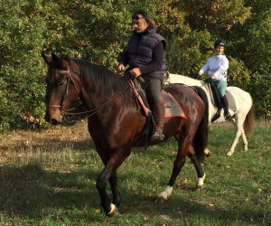 centreo-equestre-cinigiano